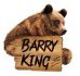 Barry King