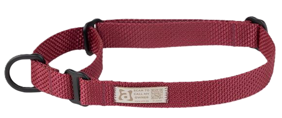 AmiPlay | Midnight | Obroża półzaciskowa bordowa