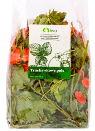 Tivo | Truskawkowe pole 100g