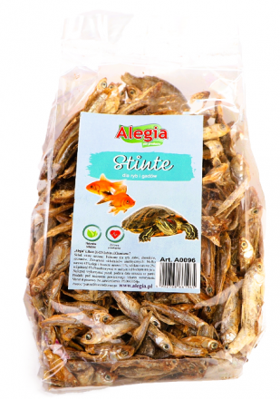Alegia | Natural Protein | Stynka 60g