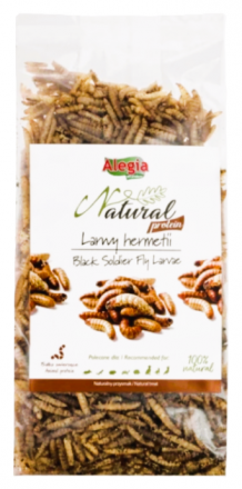 Alegia | Natural Protein | Larwy hermetii