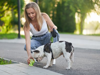 Jak dbać o nawodnienie psa w upały?