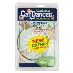 Cat Dancer | Catnip