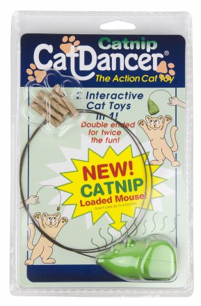 Cat Dancer | Catnip