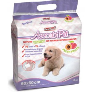 Record Italy | podkłady dla szczęniąt | 60 x 60