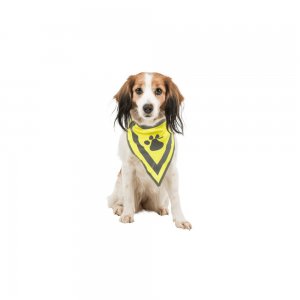 Trixie | Bandamka odblaskowa