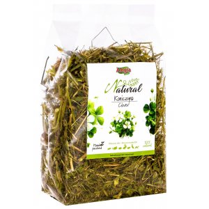 Alegia | Natural | Koniczyna suszona 100g