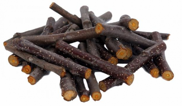 Ham-Stake | Młode pędy jabłoni