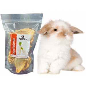 PaszNik | Suszony Chips z pasternaka 120g