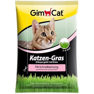 GimCat | Trawa dla kota