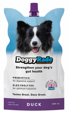 Doggy Rade | Napój izotoniczny dla psa | Opakowanie 500ml