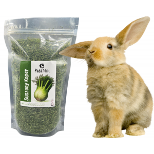 PaszNik | Suszony koper 100g