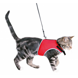 Trixie | Safer Life | Miękkie szelki ze smyczą